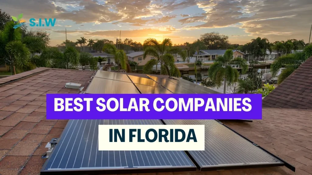 Best Solar Companies in Florida