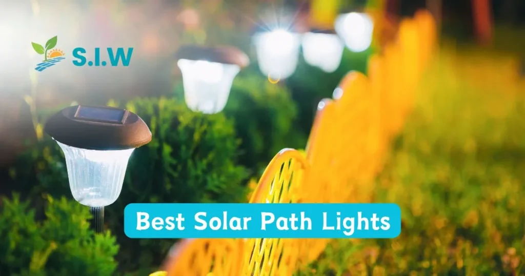 Best Solar Path Lights