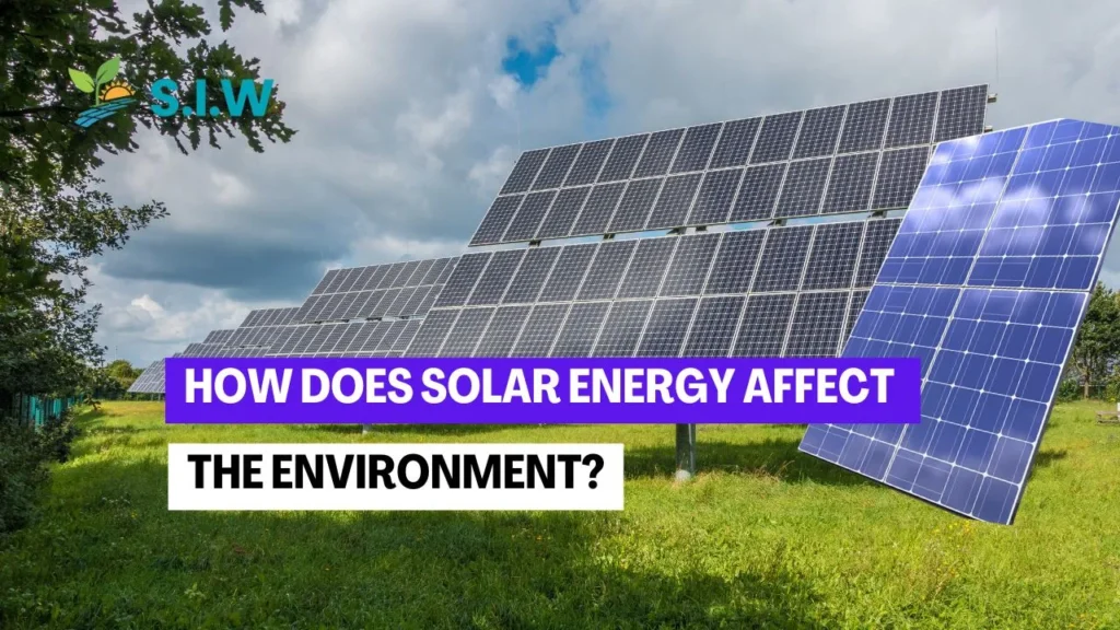 How Does Solar Energy Affect the Environment