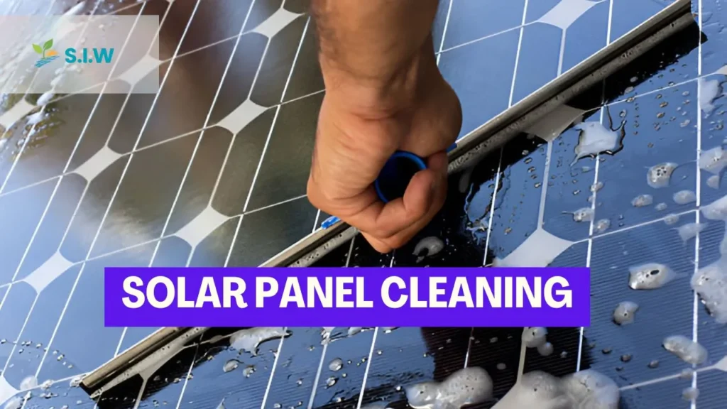 Solar Panel Cleaning