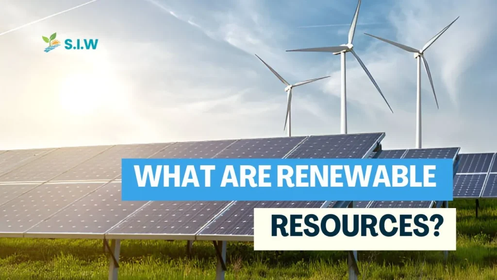 What are renewable resources