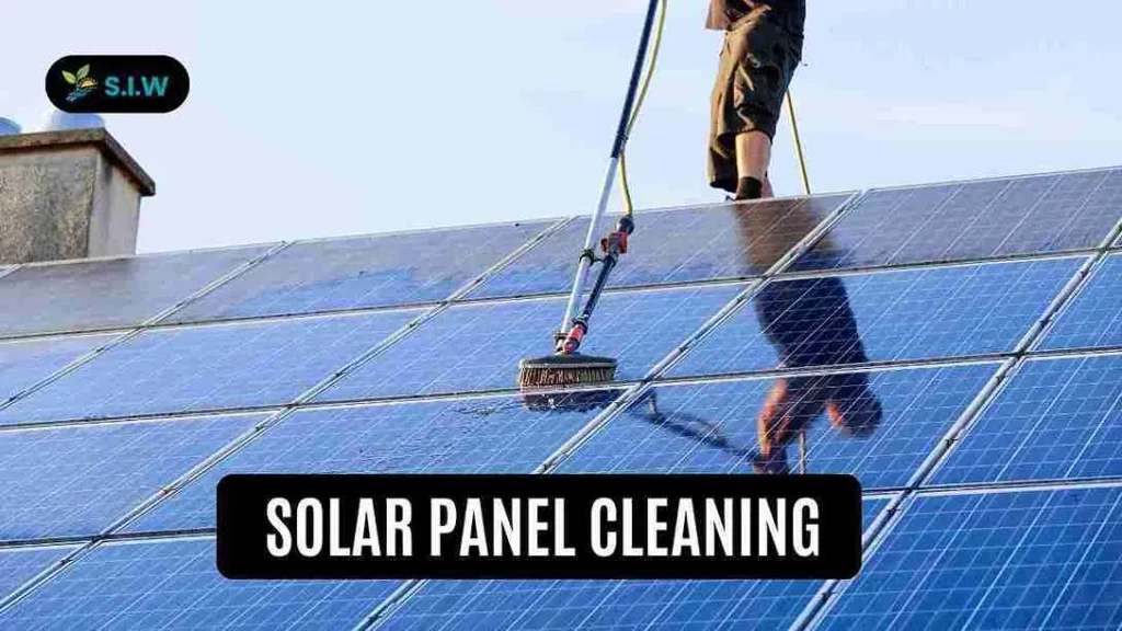 Solar Panel Cleaning