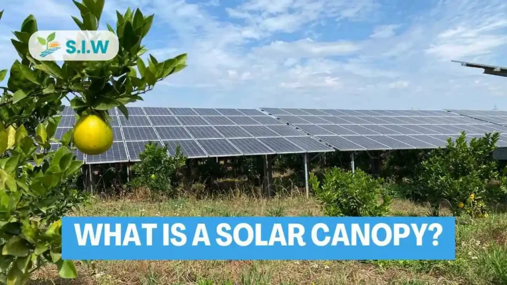 what-is-a-solar-canopy