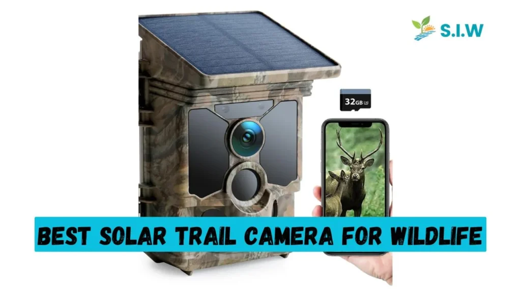 Best Solar Trail Camera for Wildlife