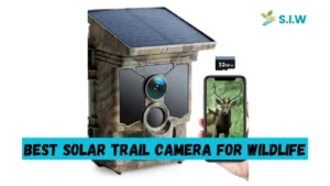 Best Solar Trail Camera for Wildlife