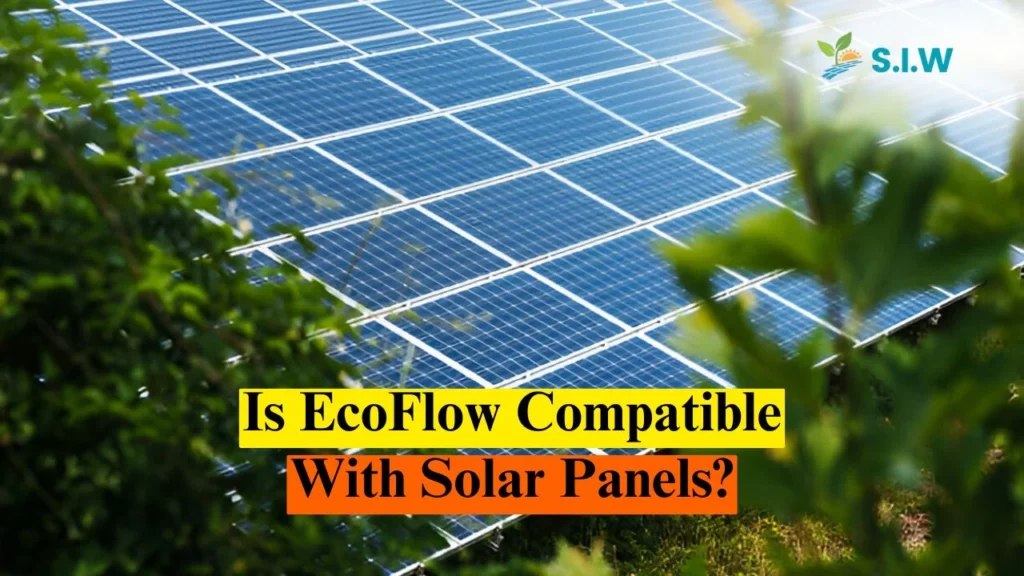 Is EcoFlow Compatible With Solar Panels