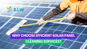 Solar Panel Cleaning Services