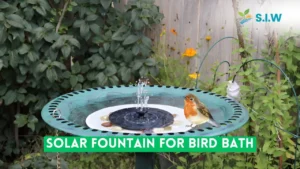 solar fountain for bird bath