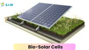 Bio-Solar Cell