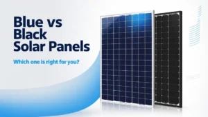 Blue vs Black Solar Panels