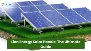 Lion Energy Solar Panels