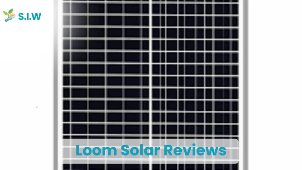 Loom Solar Reviews