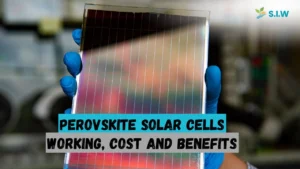 Perovskite Solar Cells