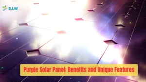 Purple Solar Panel