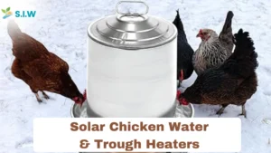 Solar Chicken Water & Trough Heaters