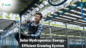 Solar Hydroponics