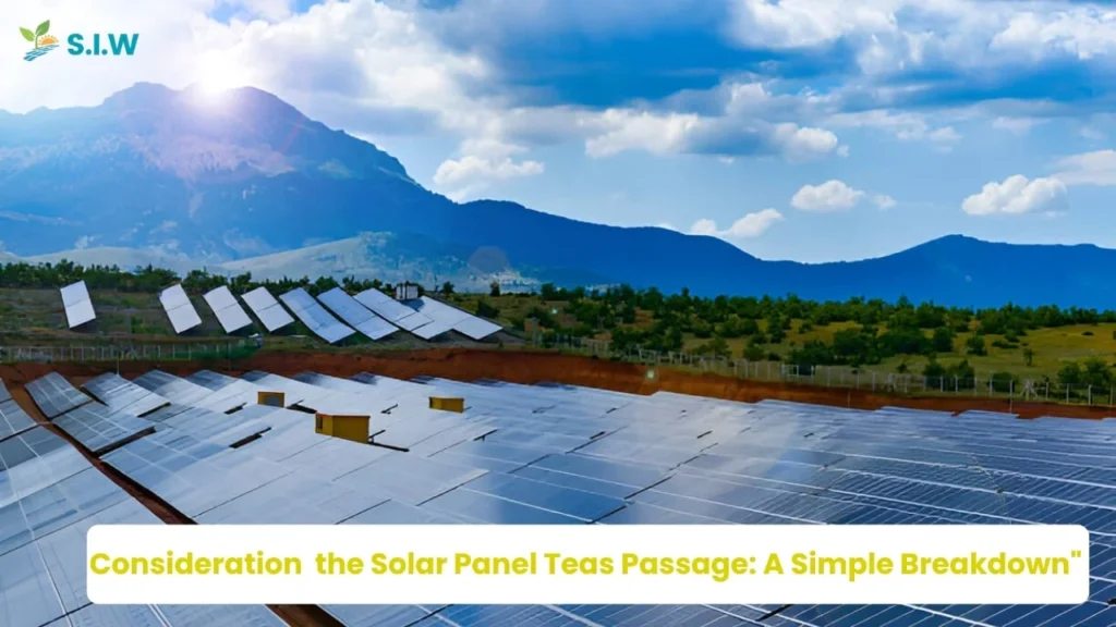 Pros and Cons of Biofuels Compared to Solar Energy