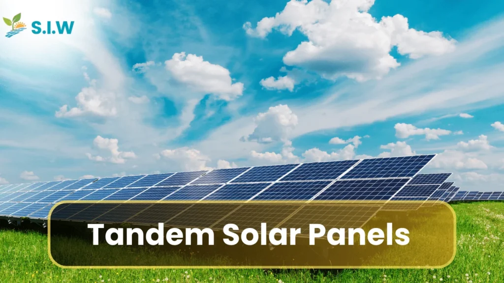 Tadnem Solar Panel