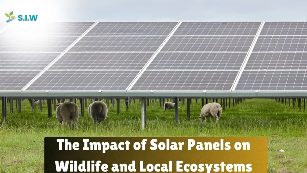 The Impact of Solar Panels on Wildlife