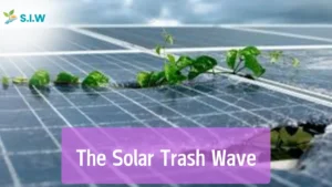 The Solar Trash Wave