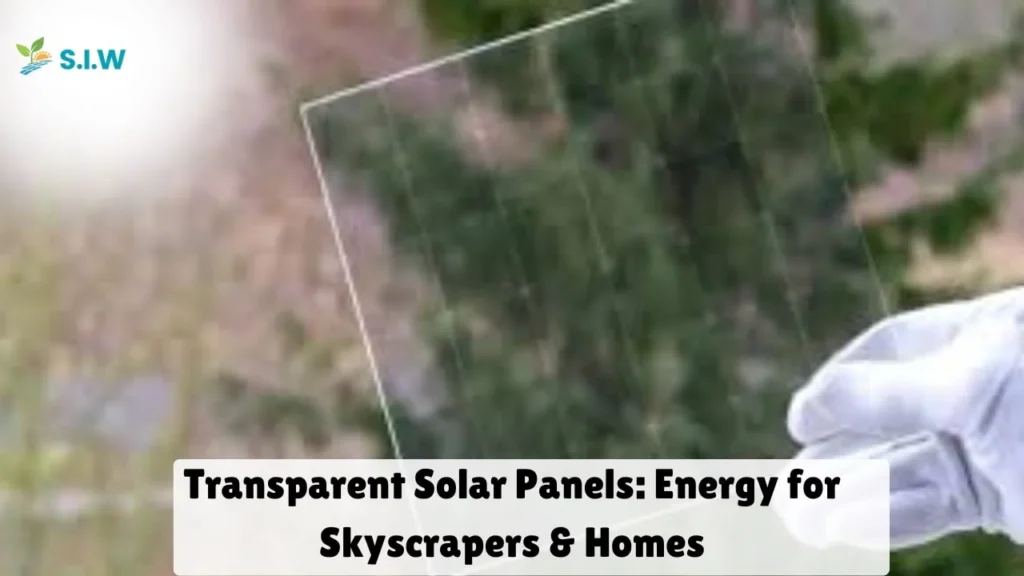 Transparent Solar Panels