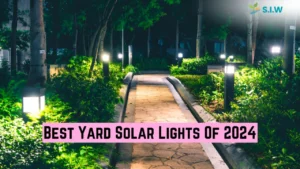 best yard solar lights