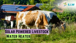 solar powered livestock water heater