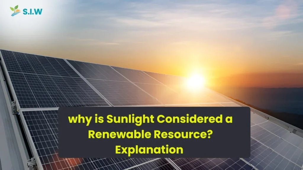 why is Sunlight Considered a Renewable Resource