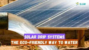 Solar Drip Systems