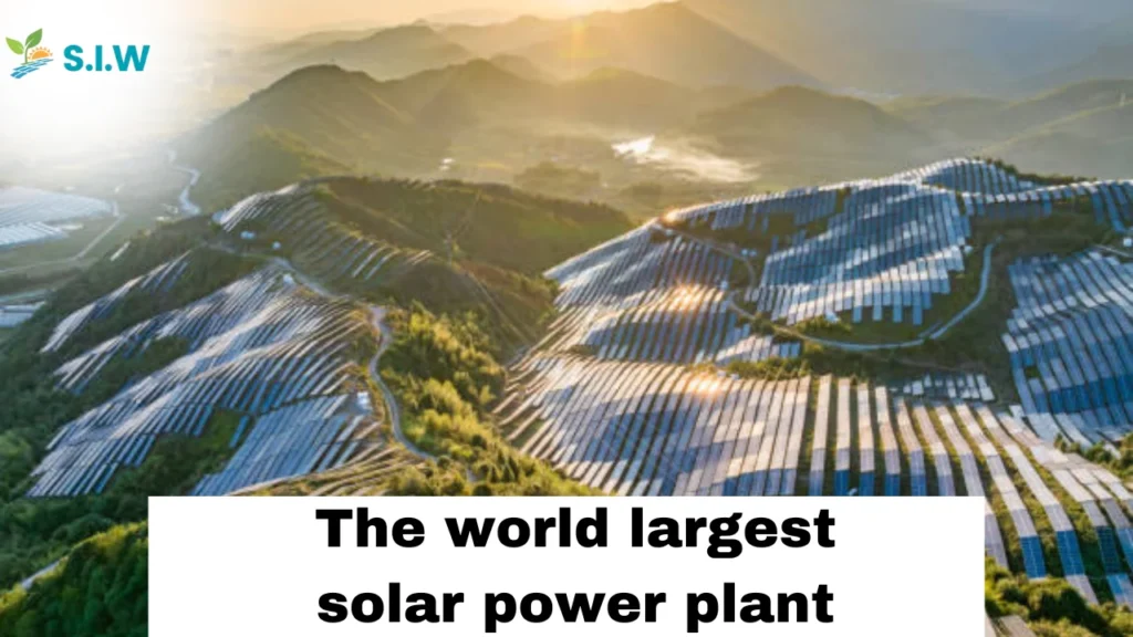 Where is the world largest solar power plant